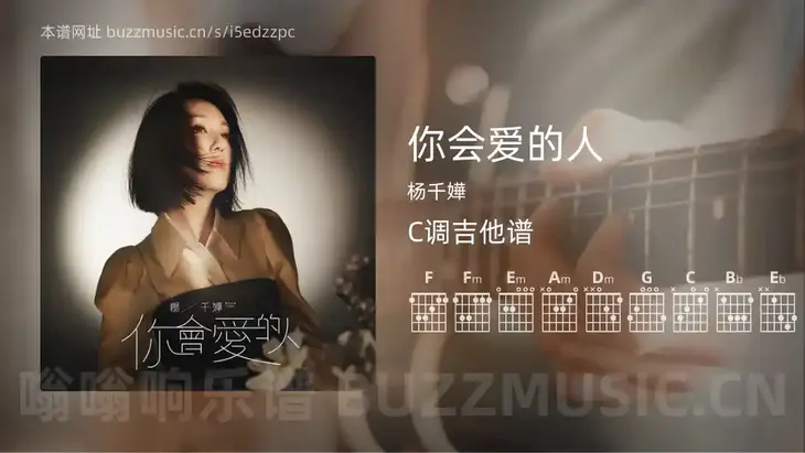 你会爱的人 杨千嬅 吉他谱C调简单版
