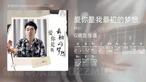 爱你是我最初的梦想 刘心 吉他谱G调简单版