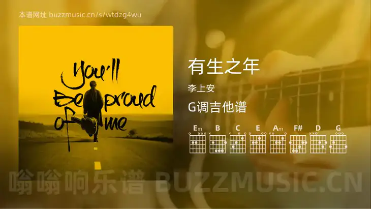 有生之年 李上安 吉他谱G调简单版