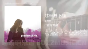 越来越不懂 蔡健雅 吉他谱C调简单版