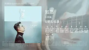 如愿 小阿枫 吉他谱G调简单版