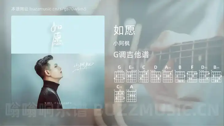 如愿 小阿枫 吉他谱G调简单版