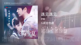 遇见遇见 罗锟 吉他谱G调简单版