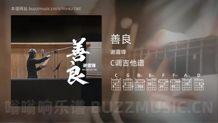 善良 谢霆锋 吉他谱C调简单版