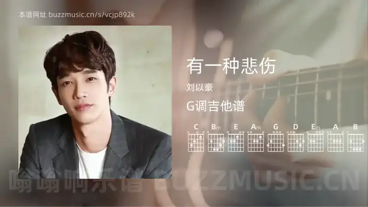 有一种悲伤 刘以豪 吉他谱G调简单版