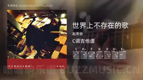 世界上不存在的歌 赵英俊 吉他谱C调简单版