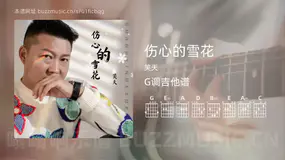 伤心的雪花 笑天 吉他谱G调简单版