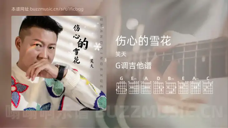 伤心的雪花 笑天 吉他谱G调简单版