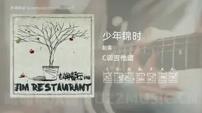 少年锦时吉他谱C调 赵雷 简单版
