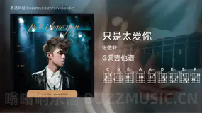 只是太爱你 张敬轩 吉他谱G调简单版