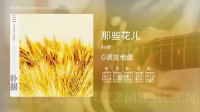 那些花儿 朴树 吉他谱G调简单版