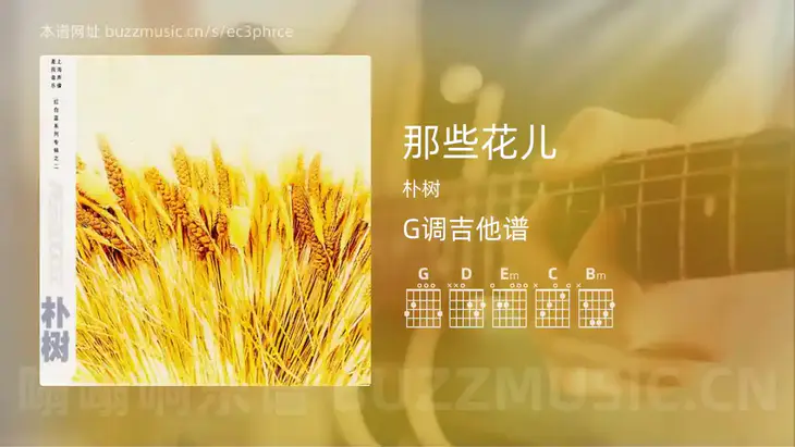 那些花儿 朴树 吉他谱G调简单版