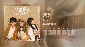 天灰 S.H.E 吉他谱G调简单版