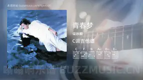 青春梦 谭咏麟 吉他谱C调简单版