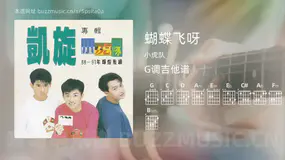 蝴蝶飞呀 小虎队 吉他谱G调简单版