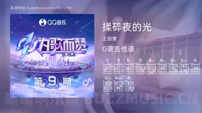 揉碎夜的光 王靖雯 吉他谱G调简单版