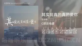 其实我真的真的爱你 王小帅 吉他谱C调简单版