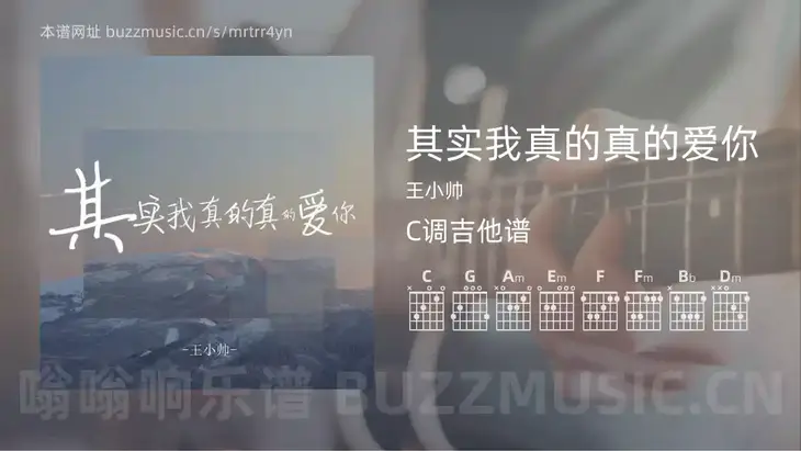 其实我真的真的爱你 王小帅 吉他谱C调简单版