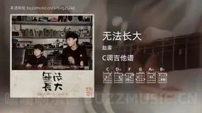无法长大 赵雷 吉他谱C调简单版