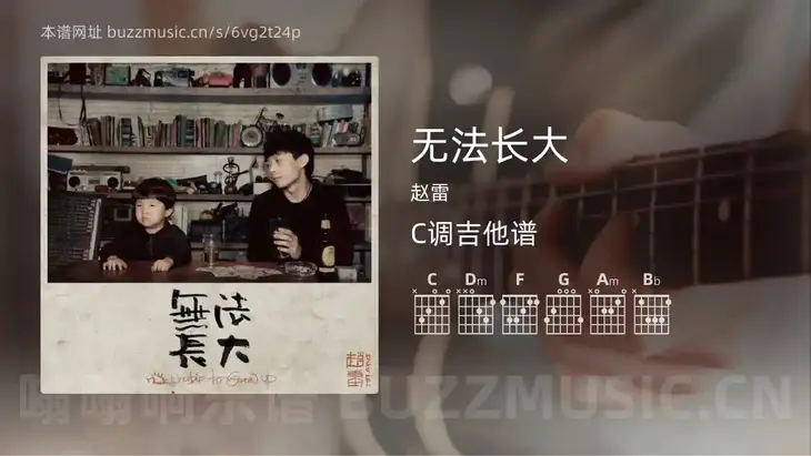 无法长大 赵雷 吉他谱C调简单版