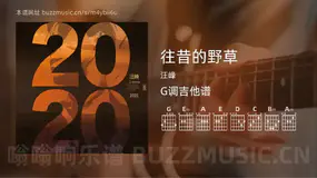 往昔的野草 汪峰 吉他谱G调简单版