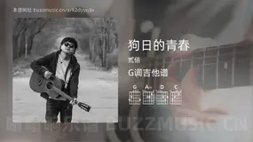 狗日的青春 贰佰 吉他谱G调简单版