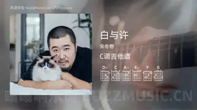 白与许吉他谱C调 宋冬野 简单版