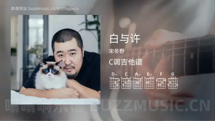 白与许吉他谱C调 宋冬野 简单版