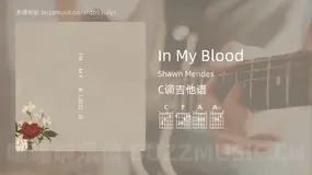 In My Blood吉他谱C调 Shawn Mendes 简单版