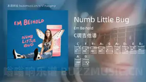 Numb Little Bug吉他谱C调 Em Beihold 简单版