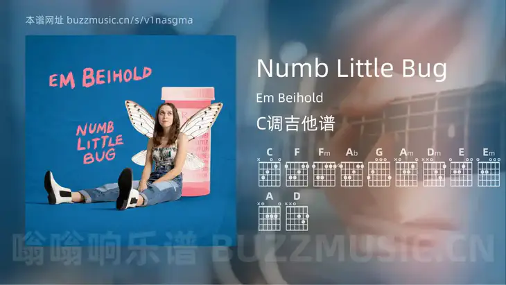 Numb Little Bug吉他谱C调 Em Beihold 简单版