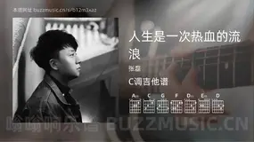 人生是一次热血的流浪 张磊 吉他谱C调简单版