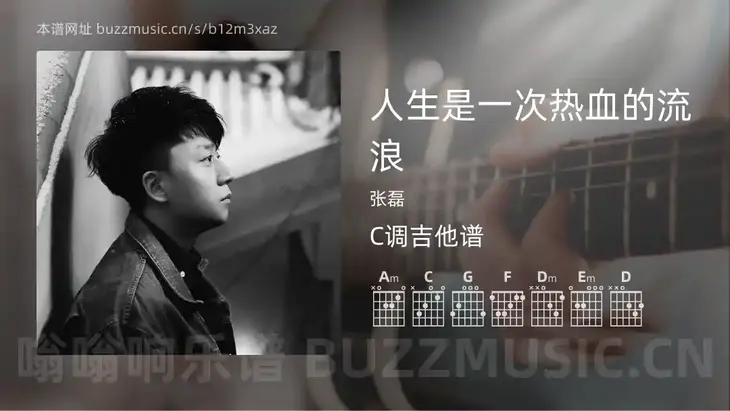人生是一次热血的流浪 张磊 吉他谱C调简单版