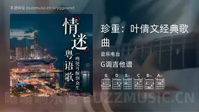 珍重：叶倩文经典歌曲 音乐电台 吉他谱G调简单版