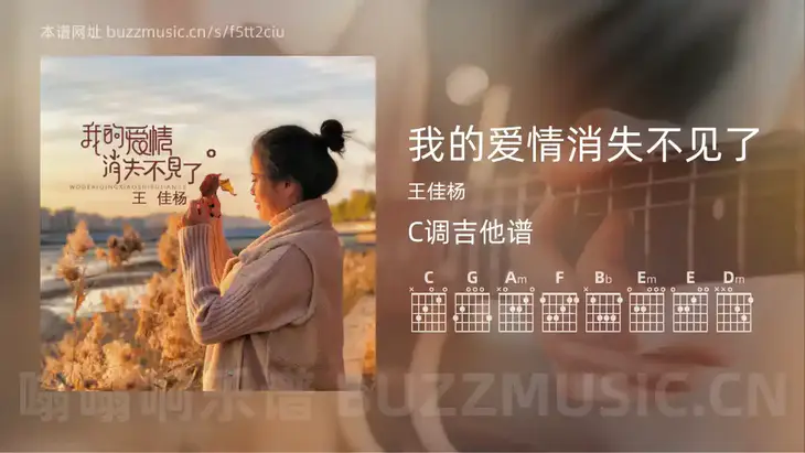 我的爱情消失不见了吉他谱C调 王佳杨 简单版