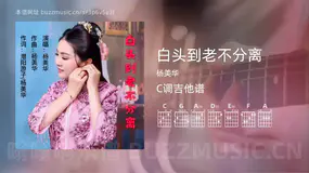 白头到老不分离 杨美华 吉他谱C调简单版