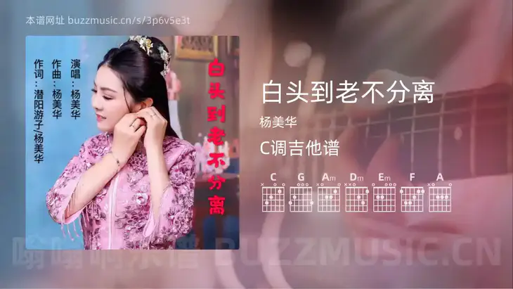 白头到老不分离 杨美华 吉他谱C调简单版