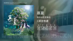 慕夏 等什么君(邓寓君) 吉他谱C调简单版