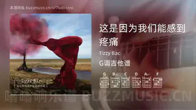 这是因为我们能感到疼痛吉他谱G调 Tizzy Bac 简单版