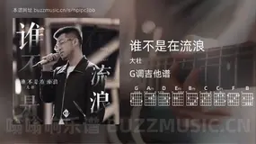 谁不是在流浪 大壮 吉他谱G调简单版