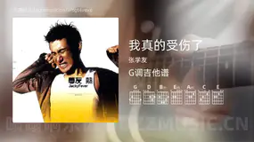我真的受伤了 张学友 吉他谱G调简单版