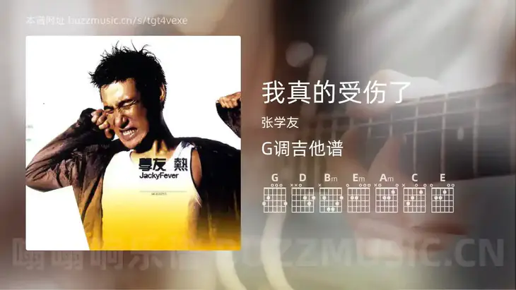 我真的受伤了 张学友 吉他谱G调简单版