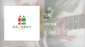 飞蛾 许嵩 吉他谱C调简单版