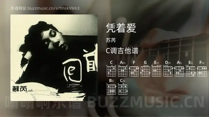 凭着爱 苏芮 吉他谱C调简单版