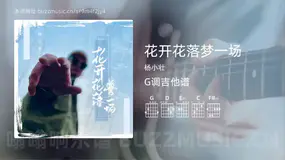 花开花落梦一场 杨小壮 吉他谱G调简单版