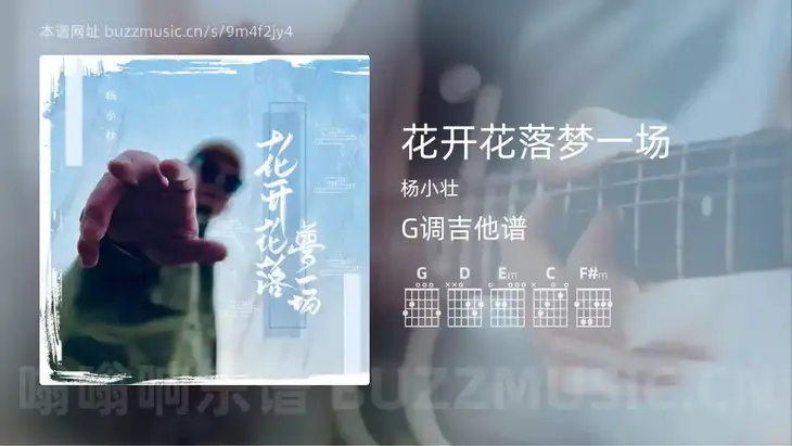花开花落梦一场 杨小壮 吉他谱G调简单版