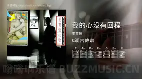 我的心没有回程 姜育恒 吉他谱C调简单版