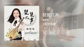 琵琶几声 魏新雨 吉他谱C调简单版
