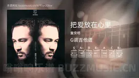 把爱放在心里 童安格 吉他谱G调简单版