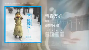 青春万岁 阿明 吉他谱G调简单版